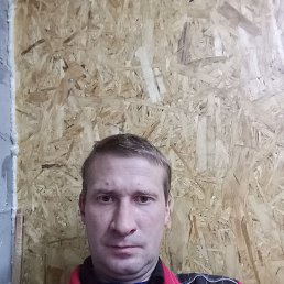 , 44 , 