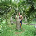 ���� ����, �����������, 65 ��� - ��������� 5 ������ 2025 � ������ ���� ����������