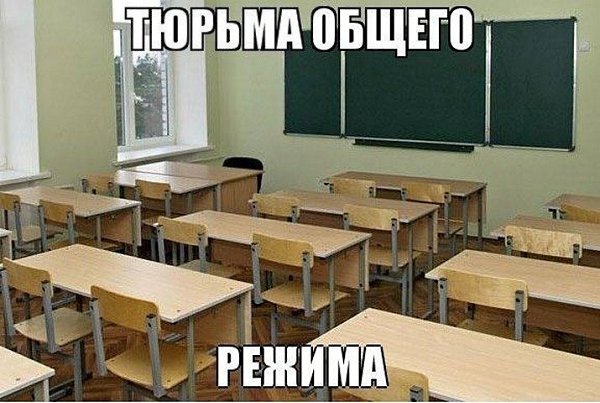 ☆   ☆ - 29  2025  06:31