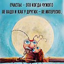 ���� �����, ���� - ��������� 7 �������� 2026 � ������ ������ ��������