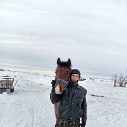 , 37, 