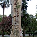 ���� �����, ������, 65 ��� - ��������� 10 ������� 2025 � ������ ���� ����������