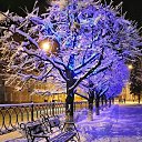 ���� ���, ������, 22 ���� - ��������� 6 ������ 2024 � ������ ���� ����������