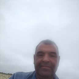 , 56 , 