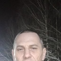 , 53 , -