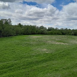 ���� �����, ������, 36 ��� - ��������� 22 ��� 2025