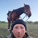 ���� ������� ������ �����������, ������, 54 ���� - ��������� 28 ��� 2024 � ������ ���� ����������