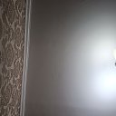 ���� ��������, �������, 40 ��� - ��������� 24 ����� 2024 � ������ ���� ����������