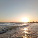 ����� � ������ ���� �� ������� ���������_2024�