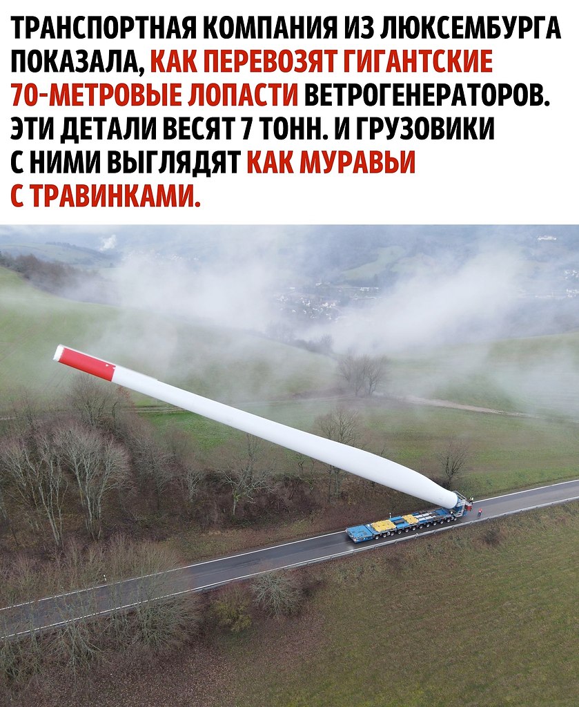 ��� � ������ �������� �������������