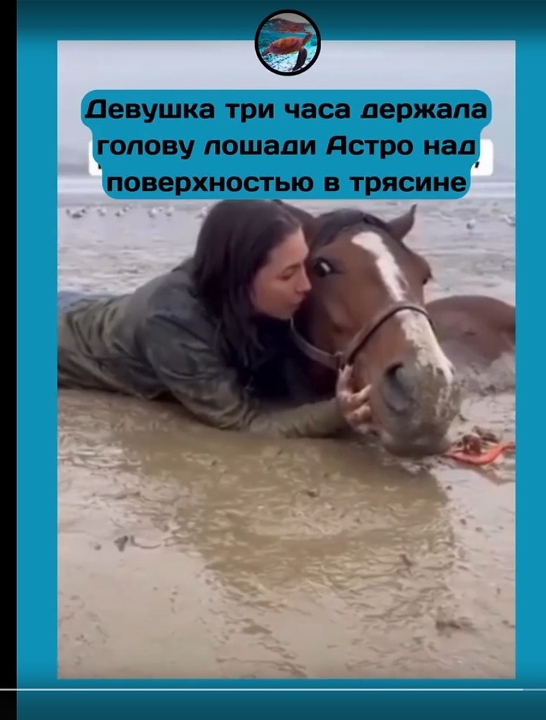 �e����a �p� �aca �ep�a�a �o�o�� �o�a�� � �o�o�e.a �o�epe��e e����p�a �o�a�� �o �����e �c�po ... - 2