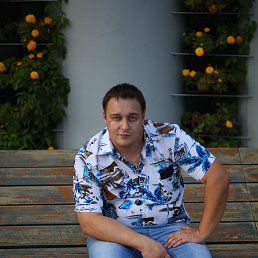 , 41, 