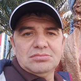 �����, ���������, 43 ����