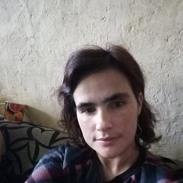 , 31, 