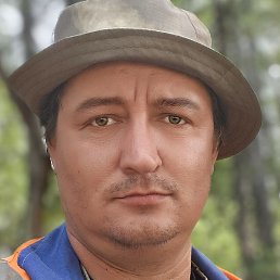 �����, �������, 42 ����