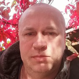 ������, ������, 51 ���