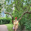 ���� 2025 �� ������� ���� ����������