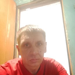 , 37, 