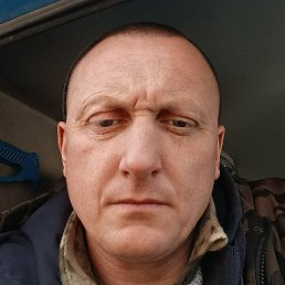 ����, ��������, 41 ���