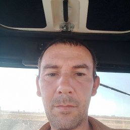 , 41, 