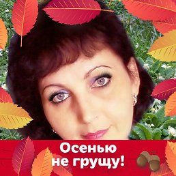 �������, ������������, 51 ���