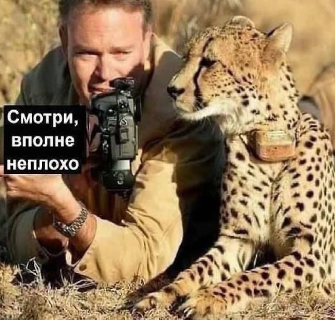    -  . - 27  2025  18:55 - 2