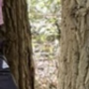 �������, 38 ���, �������