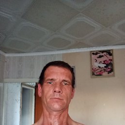 , 43, 