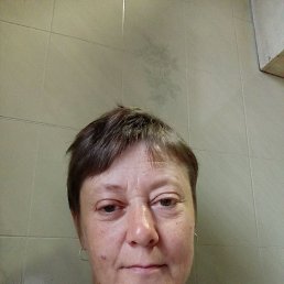 , 44, 