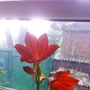 ���� ������, �������� - ��������� 17 ������� 2024 � ������ ������ ��������