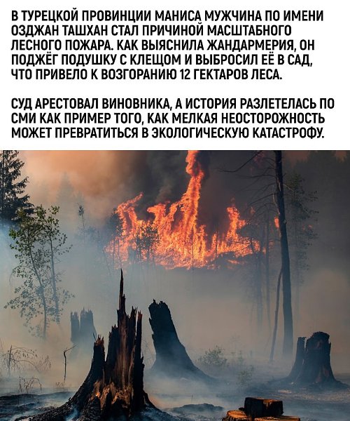 ���� ������ � ������. ������ � 12 ��������� � ���������� ������� - 2