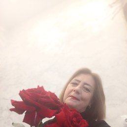 , 59, 