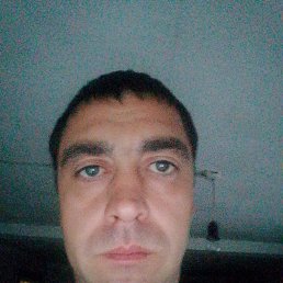  , 37 ,  