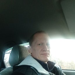 ����, 41 ���, ������