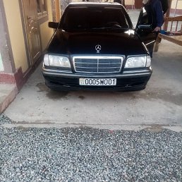 ���� ����, �����-���������, 28 ��� - ��������� 30 ������ 2024
