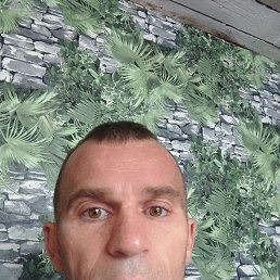 , 37, 