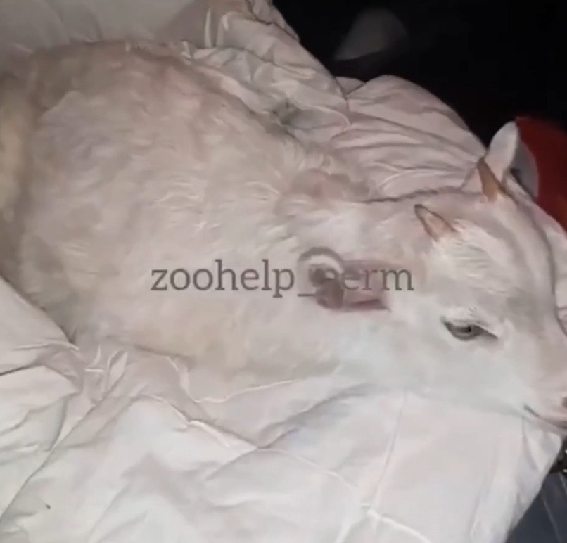 40-������ ������� ��� �������� ����� ����, ��� �������� �������� ������������� ����. ������ ������ ... - 2