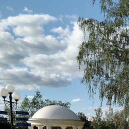 �����, ��������, 64 ����