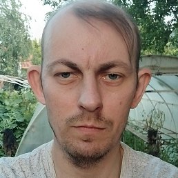 , , 41 
