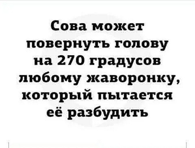 ☆������ �����☆ - 10 ������� 2025 � 08:20