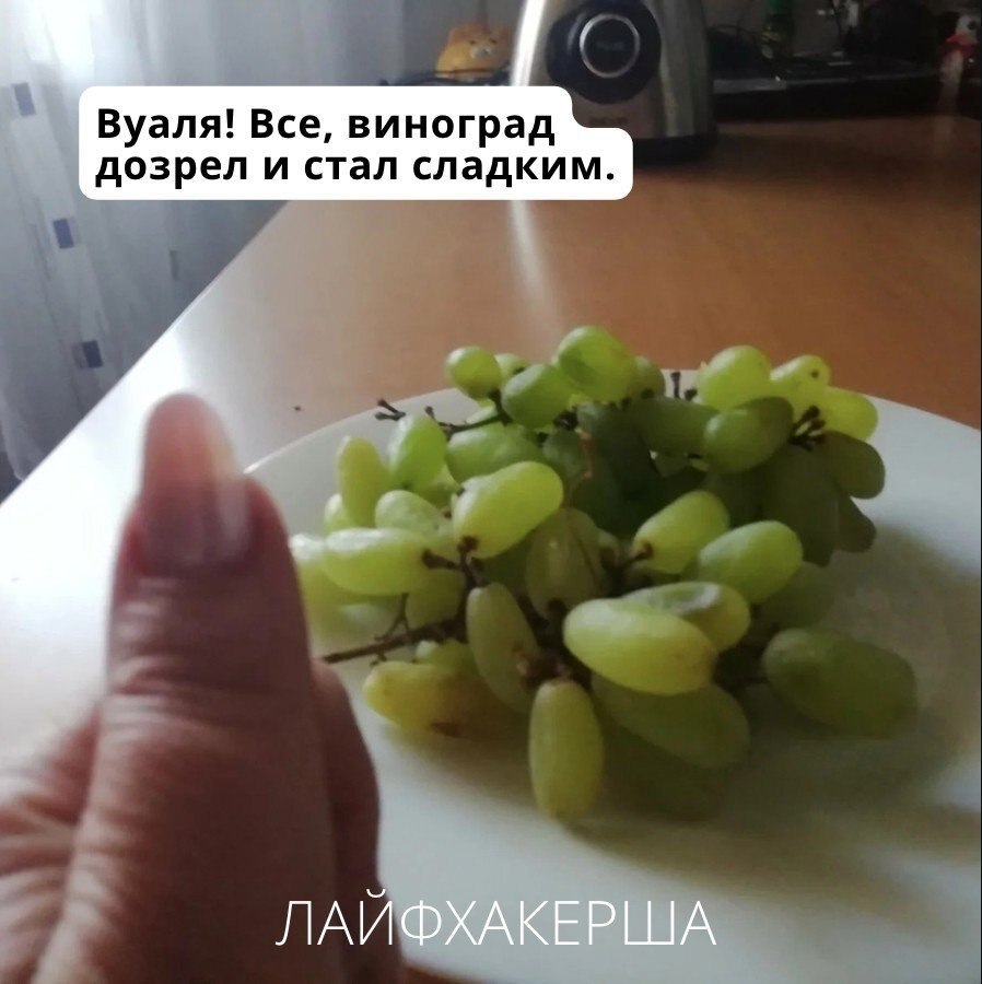 ���������� ���� - 23 �������� 2025 � 20:34 - 3