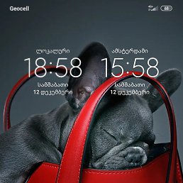 Zviad, ���������, 43 ����