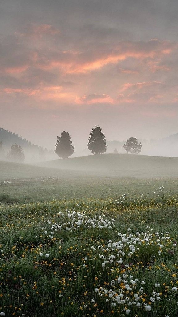   ,   ,   ,    : 1. Spring ... - 2
