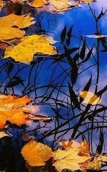 ������� �� �� ������� ��������. ��� � ������� ���, ���� ��� �����������. ������� � ��������� ����... - 4