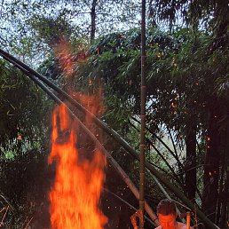 ���������, ���������, 55 ���