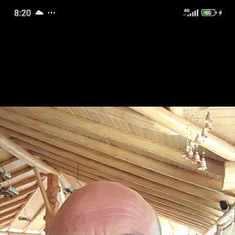 , 54 , -