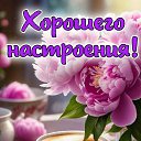 ���� ����, ����� - ��������� 9 ��� 2026 � ������ ������ ��������