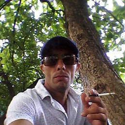 , 44 , 