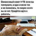   , , 51  -  1  2024    