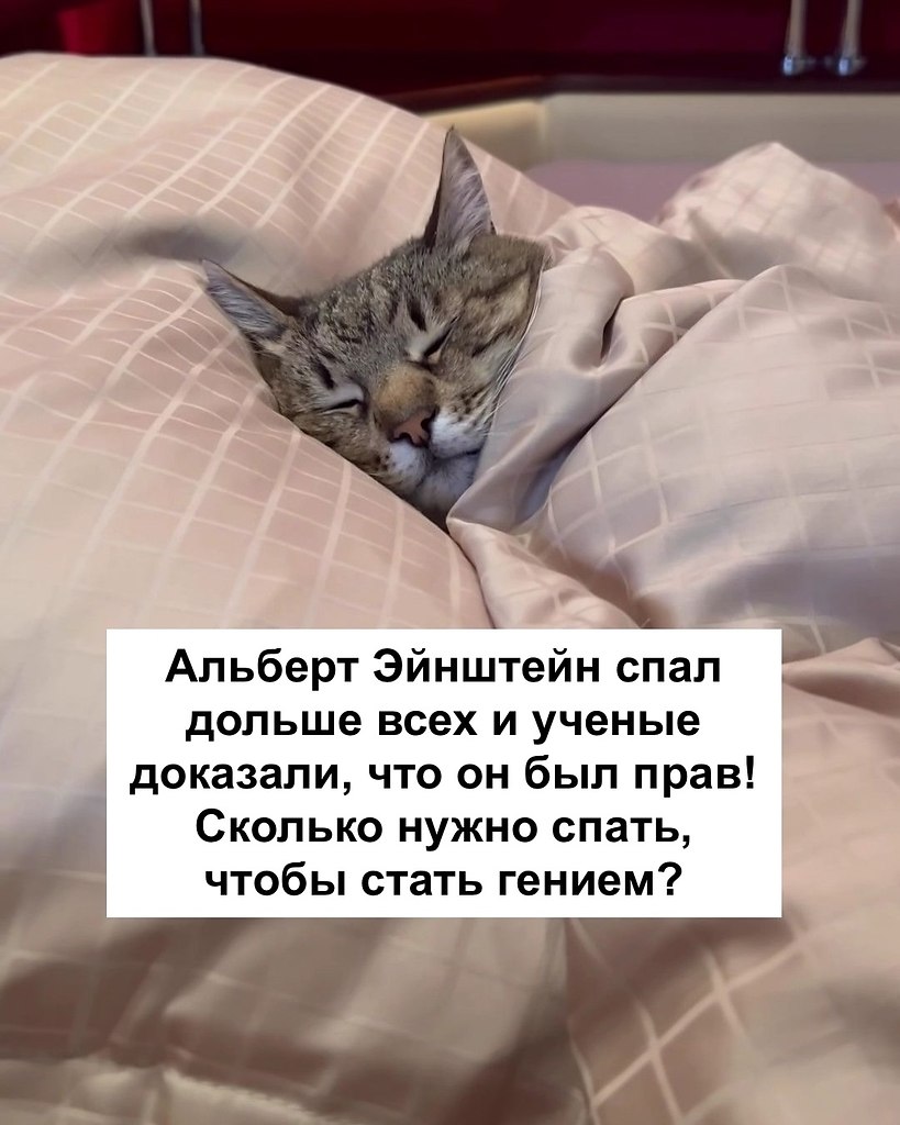 А сколько часов в сутки спите вы?